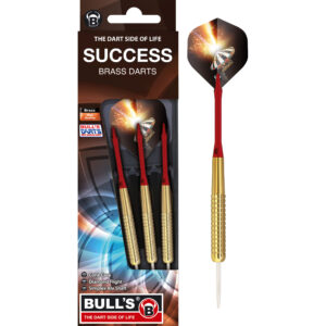 BEAZD Success Steeldart rot